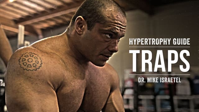 Volume Landmarks Reinassance Periodization Volume Landmarks Reinassance Periodization